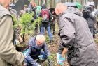 Wicemarszałek Józef Gawron sadzi drzewko