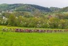 peleton kolarzy na trasie, w zielonej scenerii przyrody