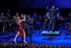 Scena podświetlona na niebiesko, kobieta w czerwonej sukience tańczy z mężczyzną w czarnym garniturze, za nimi na scenie widać grającą orkiestrę, tyłem do widzów w centralnym miejscu stoi dyrygent.