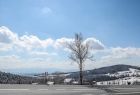 Widok na panoramę Limanowej, na pierwszym palnie widać drzewo na tle niebieskiego nieba i śniegu zalegającego na stoku. W tle widać góry z ośnieżonymi drzewami.