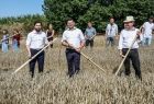 rozpoczęcie przez gości symbolicznego rozpoczęcia koszenia żyta