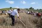 na pierwszym planie mężczyzna koszący zboże