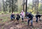 Sadzenie drzewek, wolontariusze z sadzonkami