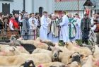 Na pierwszym planie widać stado owiec, dalej duchownych oraz lektorów, wszyscy stoją na dziedzińcu tuż przy murach kościoła.