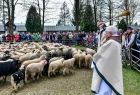 Na pierwszym planie widzimy księdza trzyma on w ręku kropidło, którym święci stado znajdujących się przed nim owiec. Za ogrodzeniem widać grupę ludzi. 