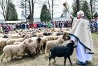 Na pierwszym planie widzimy księdza trzyma on w ręku kropidło, którym święci stado znajdujących się przed nim owiec. Za ogrodzeniem widać grupę ludzi. Większość owiec jest jasnego koloru, jedna z owiec stojących tuż obok kapłana jest czarna. 