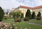 kolorowe zdjęcie ogrodu Muzeum Archeologicznego w Krakowie