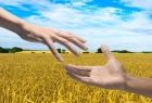Wyciągnięte ręce na tle pola zbóż i nieba.