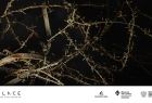 grafika ilustracyjna Muzeum Tatrzańskiego