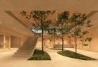 Wnętrze budynku, pośrodku przestrzeni widoczne sadzonki drzew oraz drewniane schody