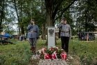 warta honorowa