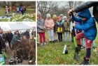 Kolaż ze zdjęć przedstawiających weekendową akcję rozdawania sadzonek i sadzenia drzewek