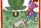 Grafika promująca warsztaty pt. Międzypokoleniowy Ogród Archeologiczny.