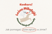 Małopolskie Leśne Mikołajki, czyli lekcja przyrody w świątecznej oprawie