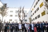 Przejdź do: Pomnik-hołd „Drzewo Życia” w Szpitalu Uniwersyteckim