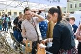 Przejdź do: Podczas Małopolskich Dni dla Klimatu w regionie przybyło 50 hektarów lasu