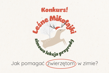 Przejdź do: Małopolskie Leśne Mikołajki, czyli lekcja przyrody w świątecznej oprawie