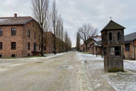 Przejdź do: 77. rocznica wyzwolenia KL Auschwitz-Birkenau