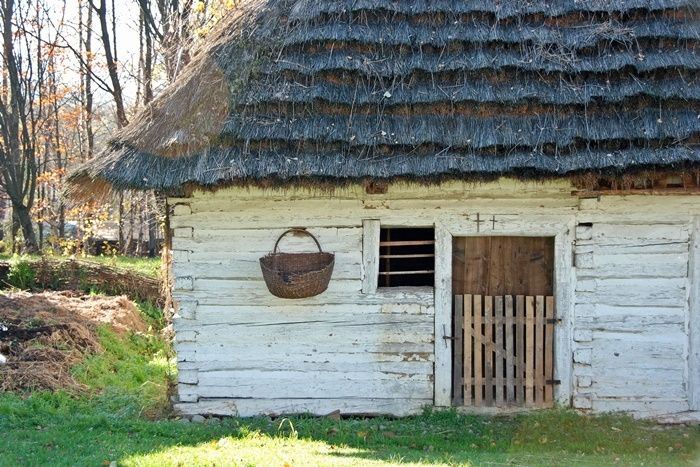 Drewniana, bielona chałupa kryta strzechą.