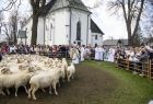 kierdel owiec i ksiądz w cusze góralskiej poświęcający stado przed rozpoczęciem sezonu pasterskiego