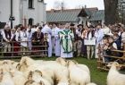 kierdel owiec i ksiądz w cusze góralskiej poświęcający stado przed rozpoczęciem sezonu pasterskiego