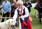góralka w stroju regionalnym głaszczę psa owczarka podhalańskiego który jest symbolicznym pasterzem stad owiec podczas wypasu na halach.