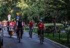 Grupa osób na rowerach jedzie plantami