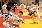 walczą judocy
