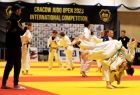 Cracow Judo Open