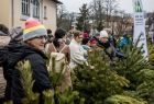 Kolejka osób czekających na wybór choinki