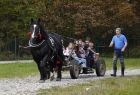 grupa dzieci jedzie na wozie zaprzężonym w konia, obok idzie mężczyzna trzymający lejce