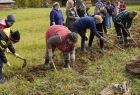 grupa osób podczas pracy kopaniu ziemniaków, sześć osób, dzieci, dorośli i starsi z motykami w dłoniach zgięci kopią ziemniaki, kilka innych przygląda się lub zwraca w stronę konia stojącego na drugim planie