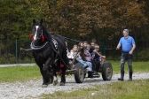 Przejdź do: Festiwal Kultury Wrażliwej. Wykopki na Orawie