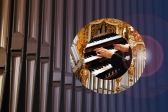 Przejdź do: Nowy Sącz. Festiwal L’arte Organica 2023