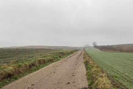 Przejdź do: Ruszył nabór wniosków na ochronę gruntów rolnych