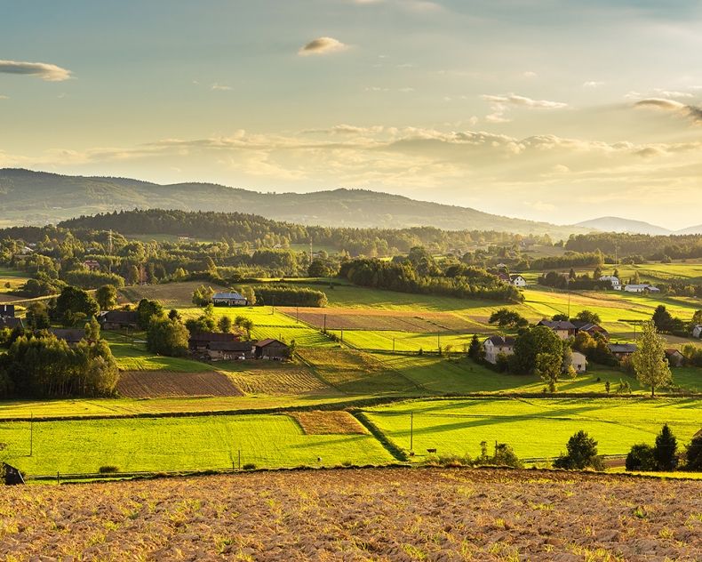 widok na Pogórze Ciężkowickie