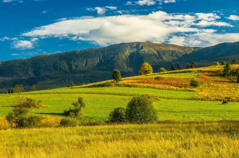 unikatowa natura sprzyja biegaczom