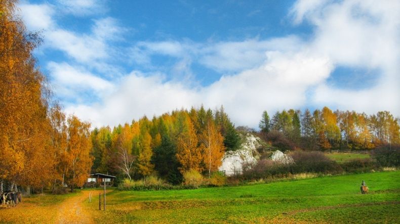 stadnina koni w Nielepicach