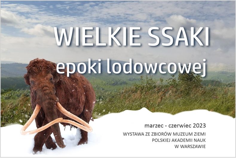 kolorowa grafika informująca o wystawie "Wielkie ssaki epoki lodowcowej"