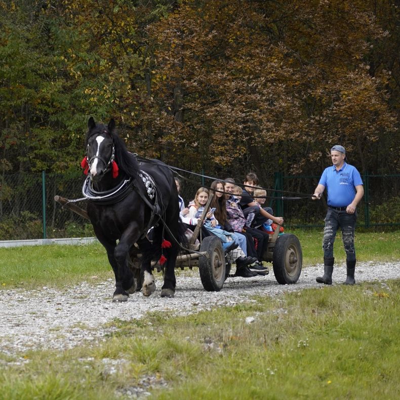 grupa dzieci jedzie na wozie zaprzężonym w konia, obok idzie mężczyzna trzymający lejce