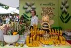 Małopolski Festiwal Smaku w Wygiełzowie