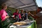 Małopolski Festiwal Smaku w Wygiełzowie
