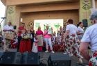 Małopolski Festiwal Smaku w Wygiełzowie