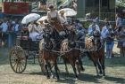 Ludzie siedzą na wozie w strojach historycznych.
