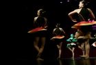 Pokazy taneczne na scenie Oświęcimskiego Centrum Kultury