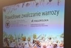 Ekran z prezentacją.
