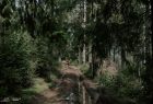 na malowniczej trasie Tatra Trail