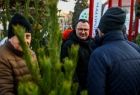 Przygarnij sosnę na święta