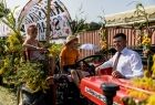 Dożynki gminy Iwanowice w Maszkowie