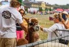 Agropromocja w Starym Sączu